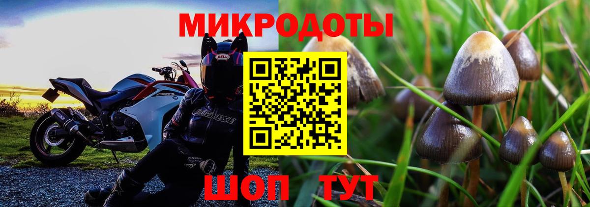 Галлюциногенные грибы мухоморы Выборг